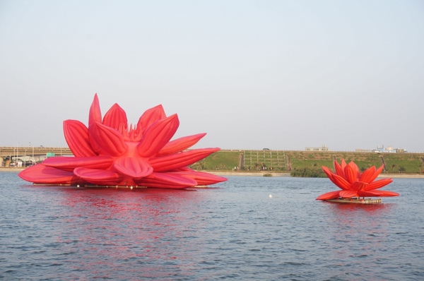 新屋後湖埤,黄色小鴨桃園逗留處:2013桃園最大盛事-黃色小鴨逗留新屋後湖塘【桃園/新屋】