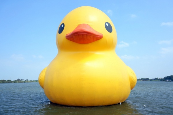 新屋後湖埤,黄色小鴨桃園逗留處:2013桃園最大盛事-黃色小鴨逗留新屋後湖塘【桃園/新屋】