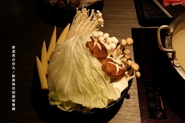 【台北】醉麻辣鴛鴦火鍋吃到飽