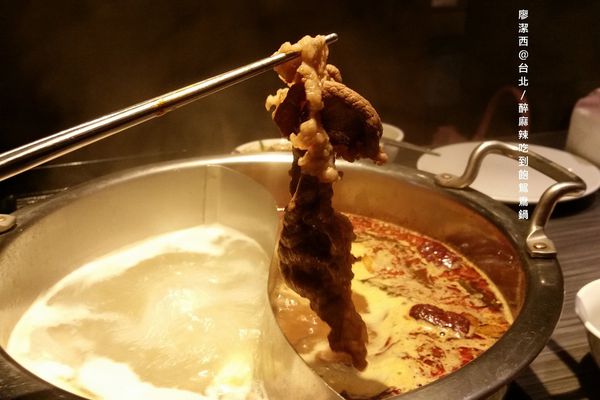 【台北】醉麻辣鴛鴦火鍋吃到飽