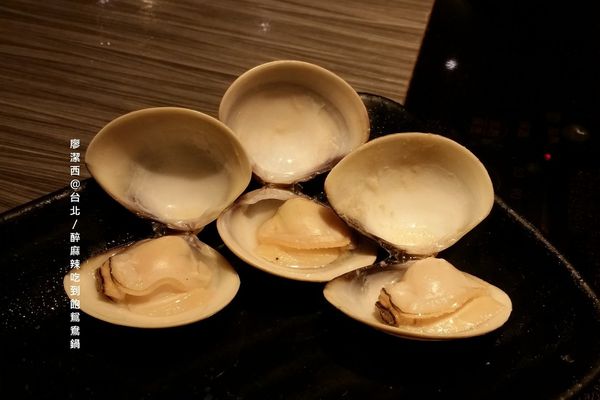 【台北】醉麻辣鴛鴦火鍋吃到飽