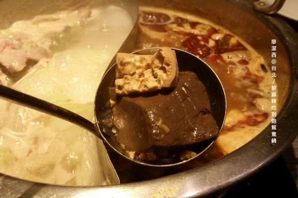 【台北】醉麻辣鴛鴦火鍋吃到飽