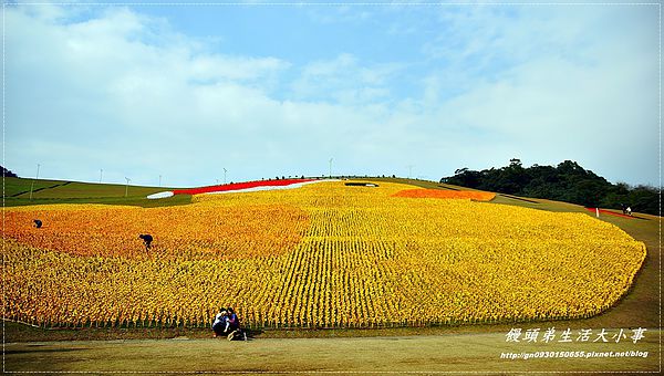 擁恆文創園區：【基隆/信義區】療癒系～超Ｑ超萌圓仔登場囉♪♪擁恆文創園區♪♪