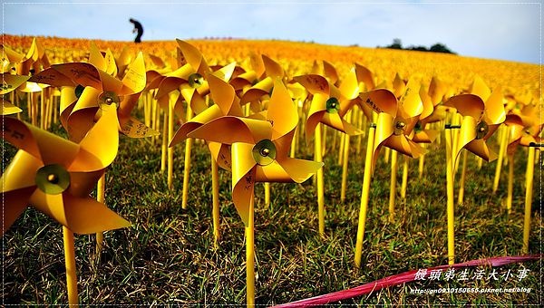 擁恆文創園區：【基隆/信義區】療癒系～超Ｑ超萌圓仔登場囉♪♪擁恆文創園區♪♪