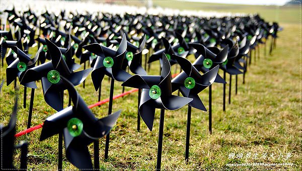 擁恆文創園區：【基隆/信義區】療癒系～超Ｑ超萌圓仔登場囉♪♪擁恆文創園區♪♪