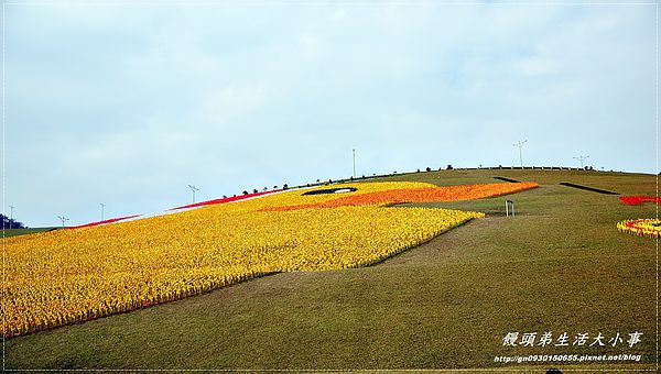 擁恆文創園區：【基隆/信義區】療癒系～超Ｑ超萌圓仔登場囉♪♪擁恆文創園區♪♪