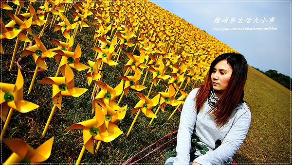 擁恆文創園區：【基隆/信義區】療癒系～超Ｑ超萌圓仔登場囉♪♪擁恆文創園區♪♪