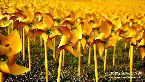 擁恆文創園區：【基隆/信義區】療癒系～超Ｑ超萌圓仔登場囉♪♪擁恆文創園區♪♪