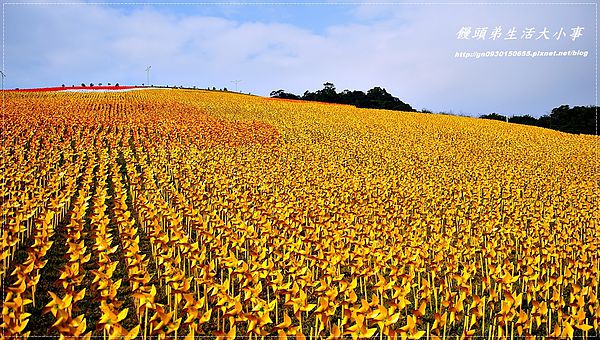 擁恆文創園區：【基隆/信義區】療癒系～超Ｑ超萌圓仔登場囉♪♪擁恆文創園區♪♪