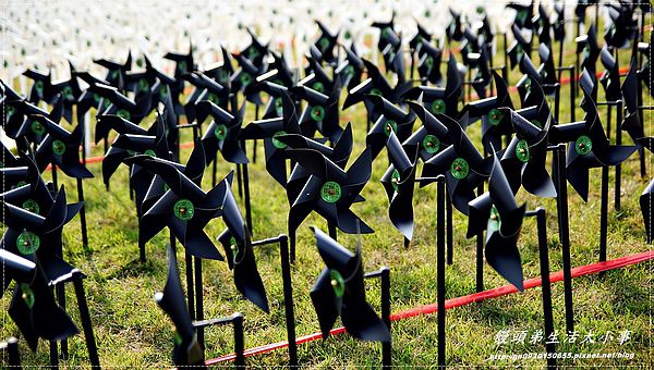 擁恆文創園區：【基隆/信義區】療癒系～超Ｑ超萌圓仔登場囉♪♪擁恆文創園區♪♪