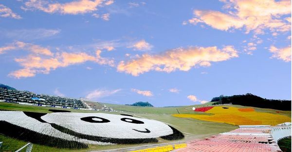 912535_696203557077160_1632665849_n