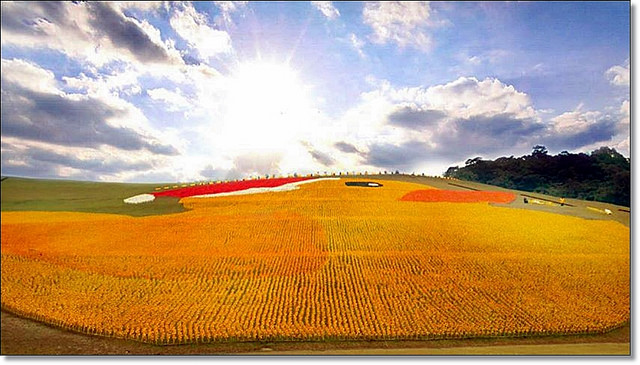 1529905_751415668220556_1477466973_o