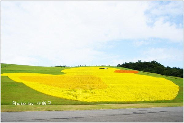 擁恆文化園區:基隆「擁恆文創園區」超大風車版黃色小鴨