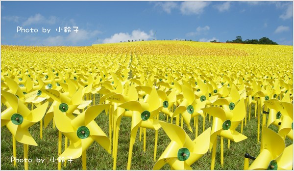 擁恆文化園區:基隆「擁恆文創園區」超大風車版黃色小鴨