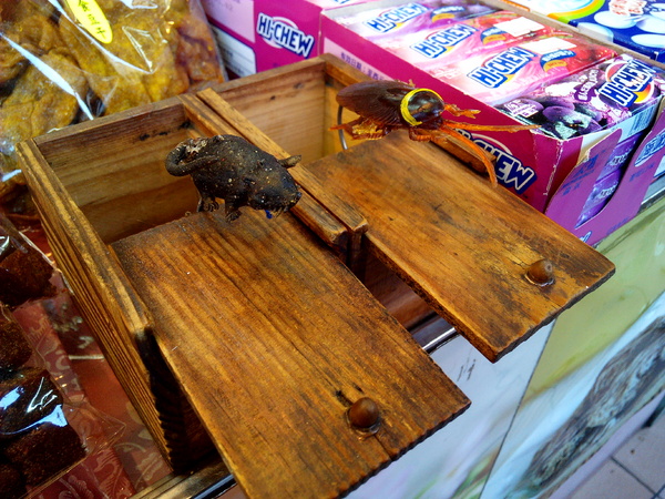 美勝珍蜜餞行:【臺南Ω中西區】美勝珍蜜餞。琳瑯滿目的古早味零嘴讓人看得眼花撩亂