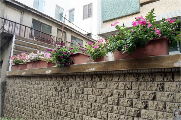 茉莉巷：[2014中南部四天之旅]台南 安平 茉莉巷&效忠街~小確幸之巷弄漫遊