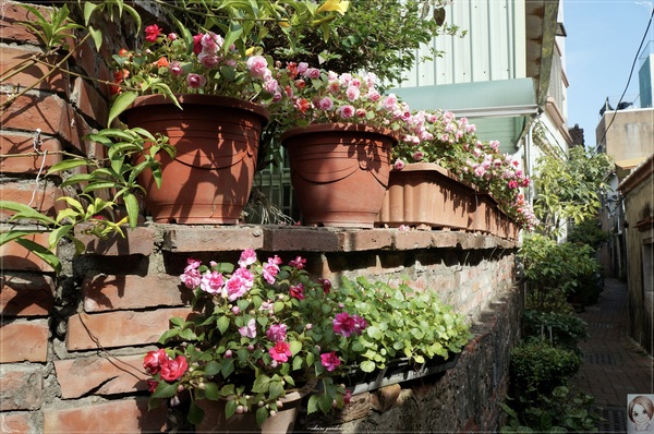 茉莉巷：[2014中南部四天之旅]台南 安平 茉莉巷&效忠街~小確幸之巷弄漫遊