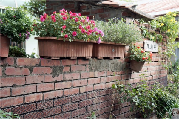 茉莉巷：[2014中南部四天之旅]台南 安平 茉莉巷&效忠街~小確幸之巷弄漫遊