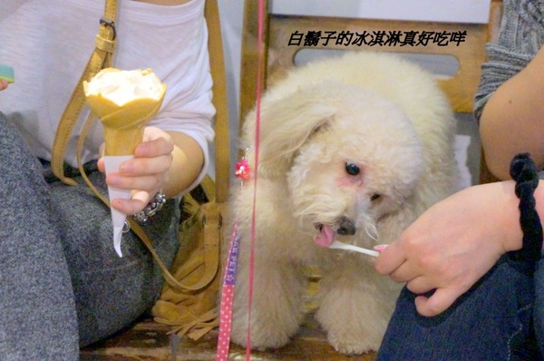 白鬍子 Milk Beard 鮮奶霜淇淋專賣店:【口碑券】連狗兒都愛吃的天然霜淇淋『台北東區/白鬍子』