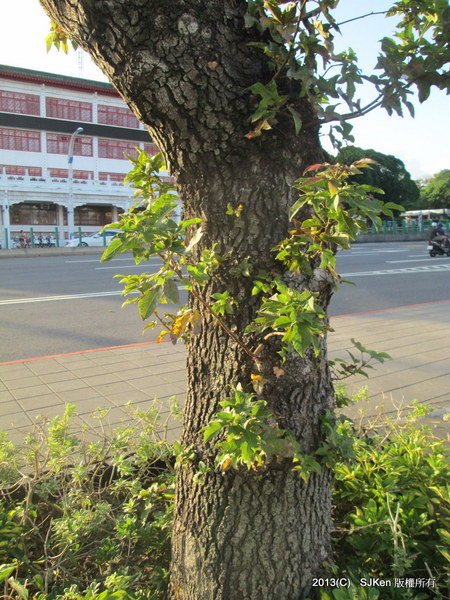 cm20131021___2e66ba24b059b5da2a229150e6e