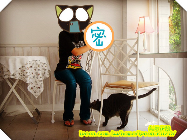 公主茶園:【台南】讓我們喵在一起~享受貴婦下午茶!《公主茶園PTM》