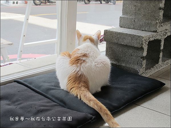 台南32.JPG