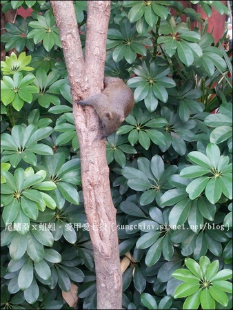 國立台灣文學館：［台南中西］府城古蹟散步：台灣文學館、台南武德殿、林百貨、土地銀行