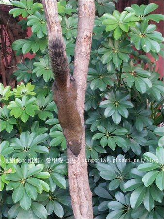 國立台灣文學館：［台南中西］府城古蹟散步：台灣文學館、台南武德殿、林百貨、土地銀行