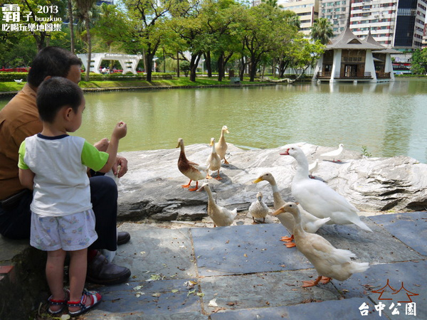 台中公園:台中公園 (湖心亭、日月湖、日式木橋的中山橋、望月亭)