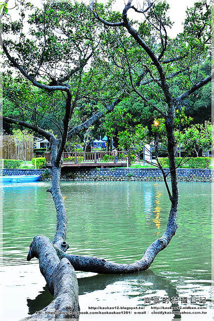 台中公園：【臺中】北區。臺中公園