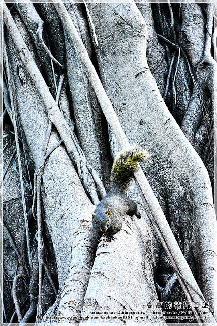 台中公園：【臺中】北區。臺中公園
