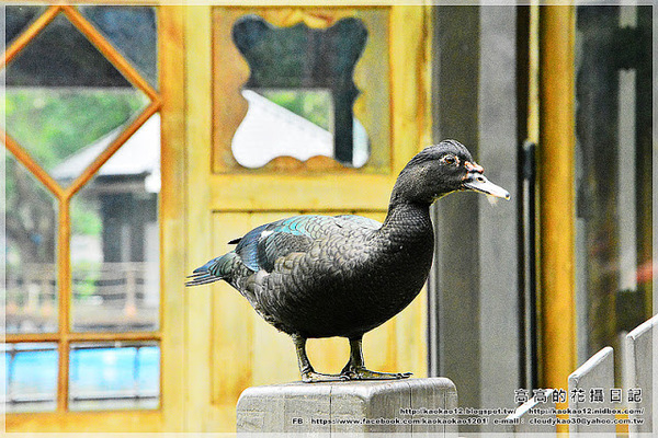 台中公園：【臺中】北區。臺中公園