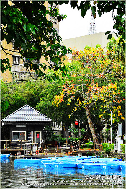 台中公園：【臺中】北區。臺中公園