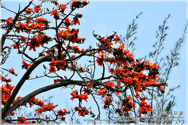 台中公園：【臺中】北區。臺中公園