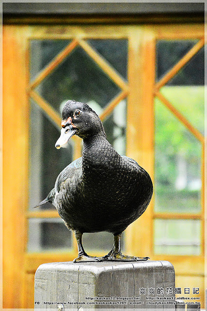 台中公園：【臺中】北區。臺中公園