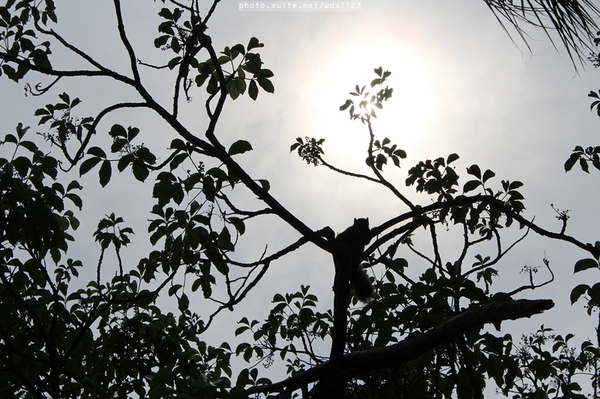 台中公園: 2014台中街頭藝人甄選活動✪台中公園好好拍~103.05.04