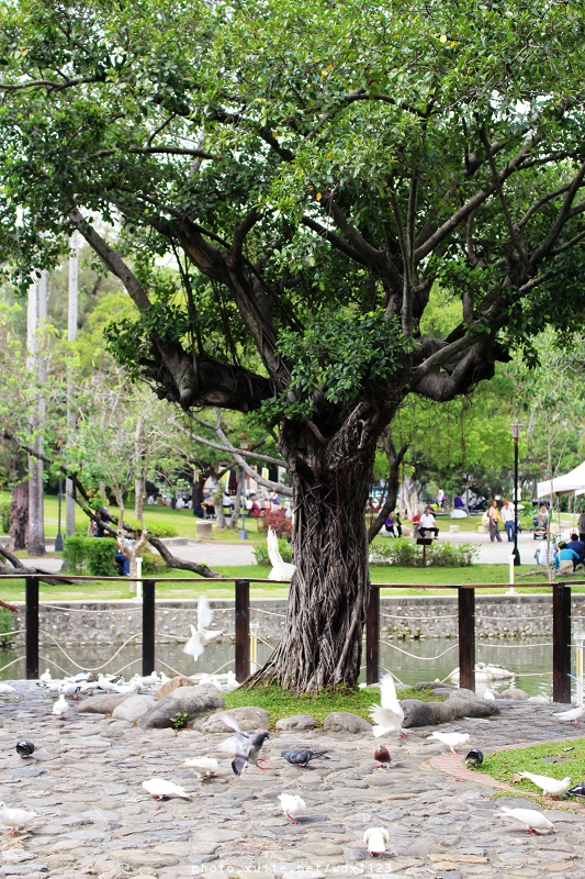 台中公園: 2014台中街頭藝人甄選活動✪台中公園好好拍~103.05.04