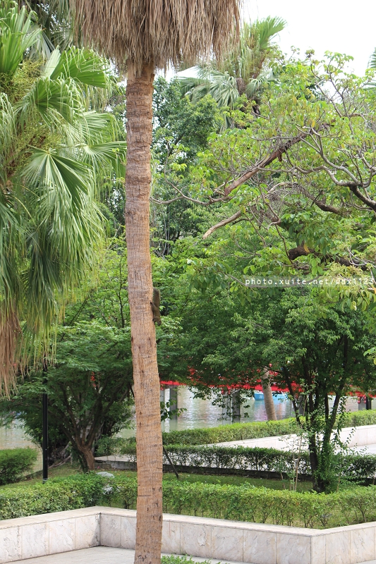 台中公園: 2014台中街頭藝人甄選活動✪台中公園好好拍~103.05.04