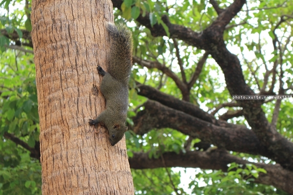 台中公園: 2014台中街頭藝人甄選活動✪台中公園好好拍~103.05.04