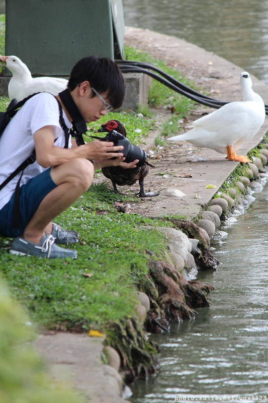 台中公園: 2014台中街頭藝人甄選活動✪台中公園好好拍~103.05.04