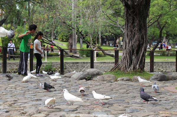 台中公園: 2014台中街頭藝人甄選活動✪台中公園好好拍~103.05.04