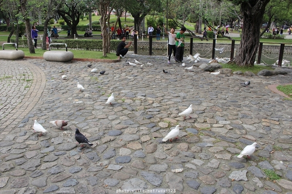 台中公園: 2014台中街頭藝人甄選活動✪台中公園好好拍~103.05.04