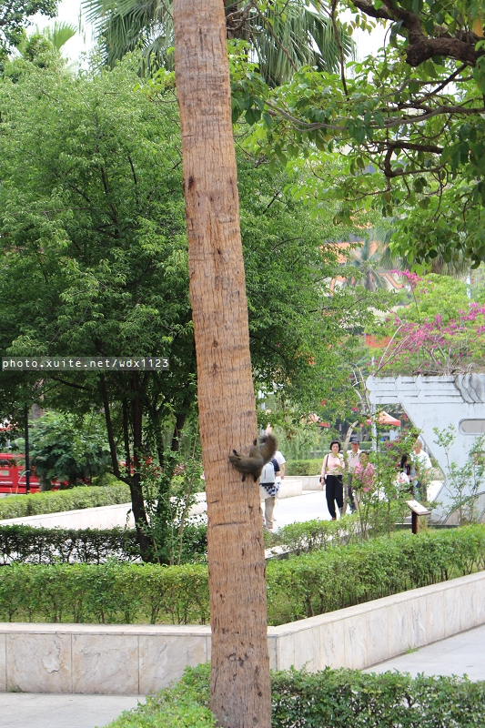 台中公園: 2014台中街頭藝人甄選活動✪台中公園好好拍~103.05.04