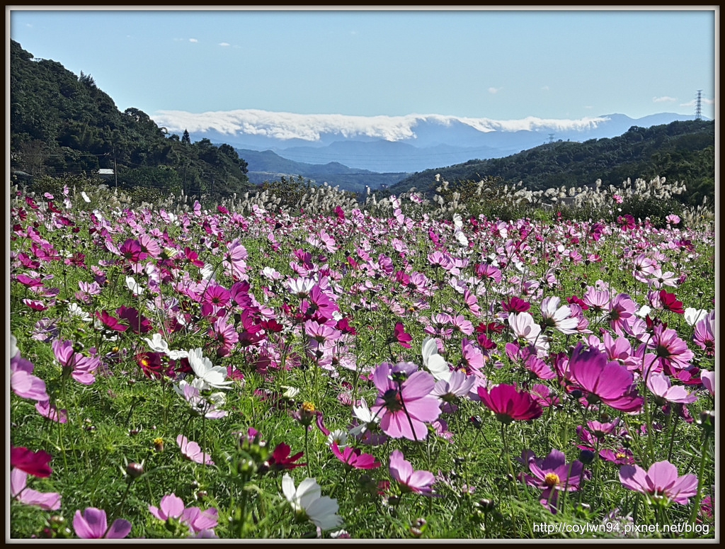 20151205_122342_Richtone(HDR)