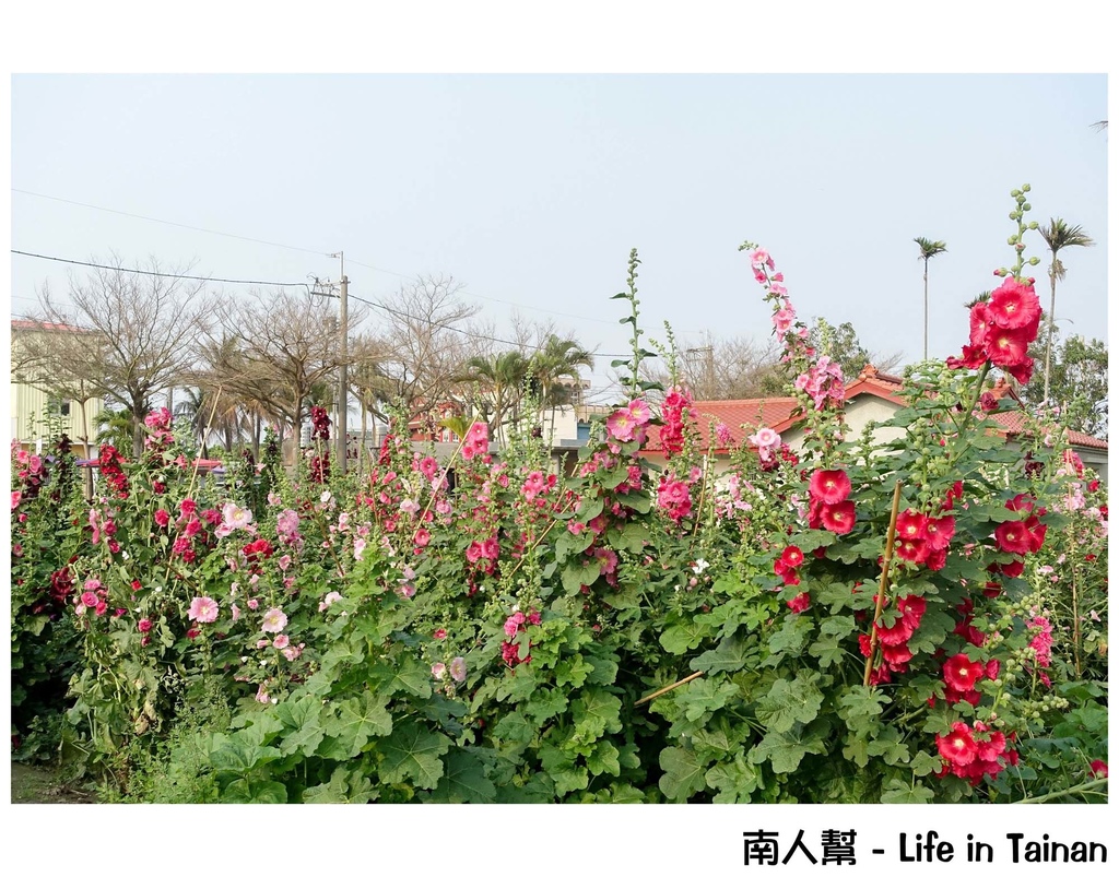 兒童節連假旅行台南攻略