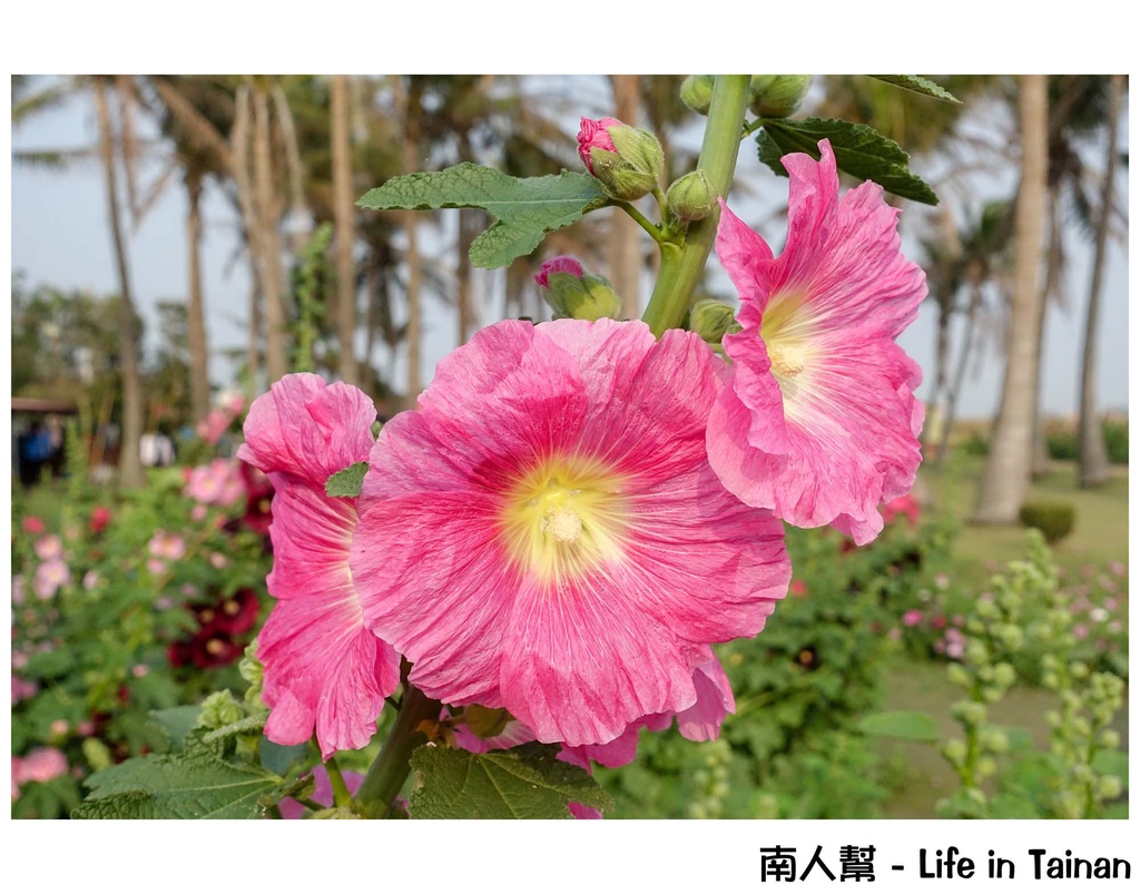 兒童節連假旅行台南攻略