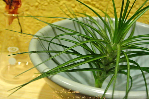 cm20131005___2cb40eb5fb7c7e919b1ded80f95