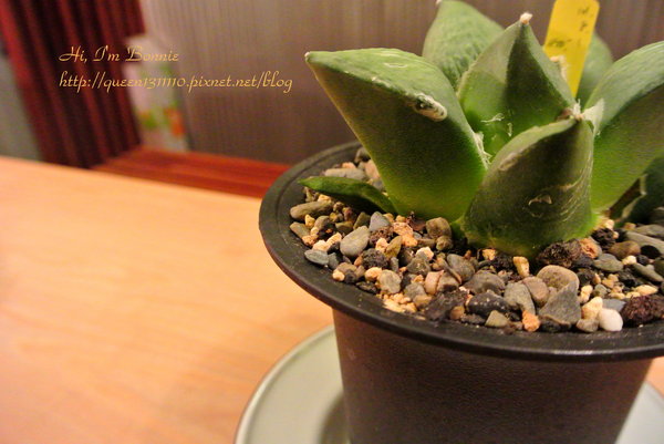 cm20131005___6229b234c5a88fef9f731c4250c