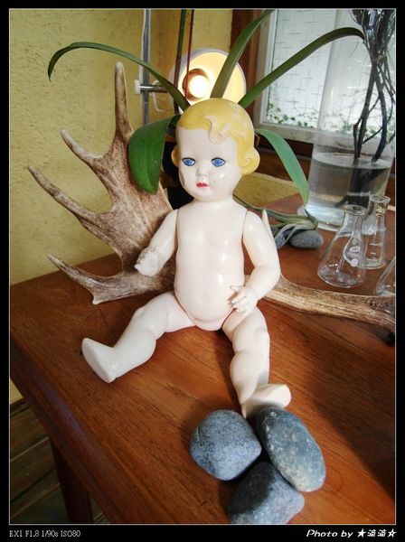 INO Ice:【台中.美食】Ino ice♥每天只限量兩種口味超好吃霜淇淋