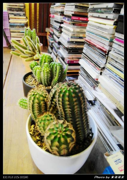 INO Ice:【台中.美食】Ino ice♥每天只限量兩種口味超好吃霜淇淋